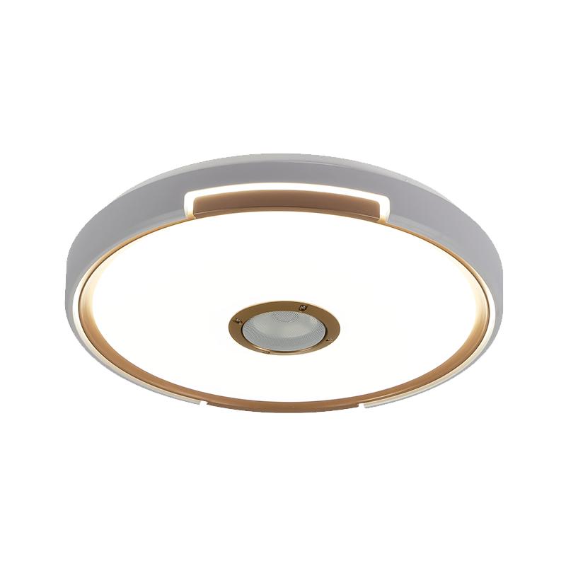 蓝牙音乐吸顶灯led家用卧室灯2025新款卧房灯天猫精灵遥控声控灯