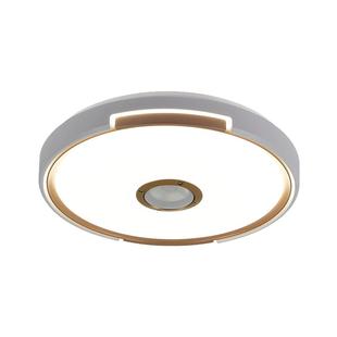 蓝牙音乐吸顶灯led家用卧室灯2025新款卧房灯天猫精灵遥控声控灯