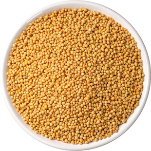 芥菜籽黄芥籽粒500g/250克黄芥子中药材芥末子香料芥菜籽芥茉子粉