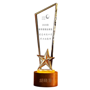 2025新款水晶奖杯定制定做金属奖牌月嫂优秀员工树脂儿童创意年会