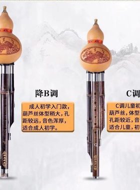 天然紫竹三音葫芦丝专业调CFG演奏级乐器降调奇缘音准调B调教学型