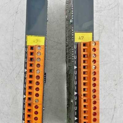 B&R BERNECKER &RAINER PA42 ECPA42-0 REV: 00.00 ANALOG OUTPUT