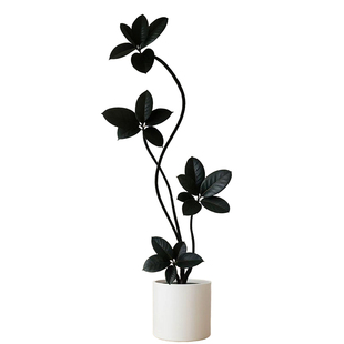 黑金刚橡皮树客厅绿植高级感大盆栽植物轻奢办公室内落地高端好养