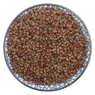 决明子茶500g克决明子非野生决明子泡茶菊花茶枸杞子正品新货