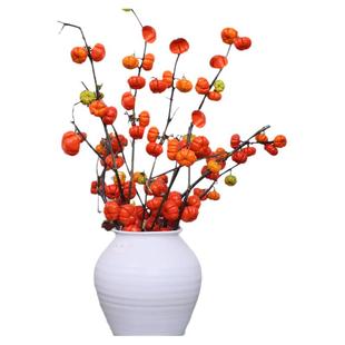 小南瓜鲜花观赏插花花束水培干花切枝花卉室内好养秋冬绿植物装饰