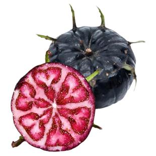 冻干红果参水果干果茶 红果参果干蜘蛛果干水果茶 云南特产红果参