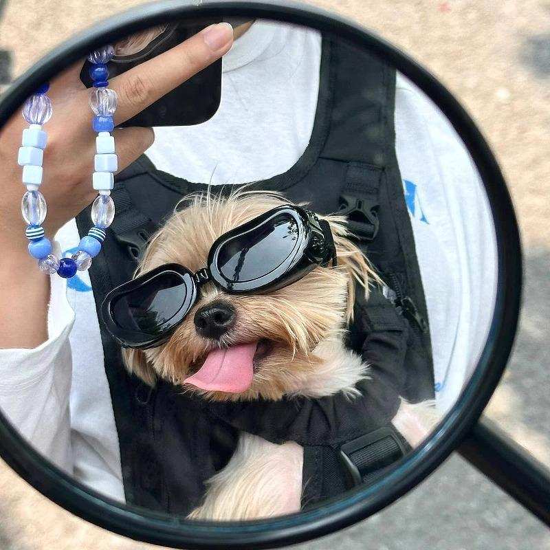 约克夏小狗狗专用眼镜宠物马尔济斯太阳眼镜太阳眼镜防风护目镜配