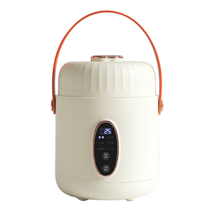 便携式电炖煮粥神器家用煲汤炖盅