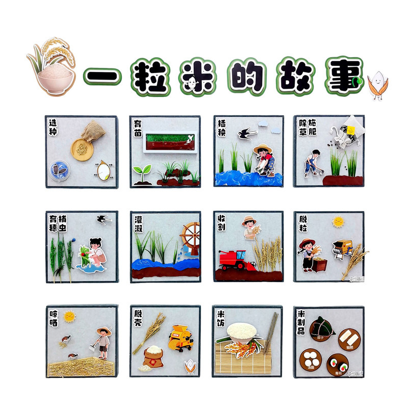 幼儿园环创一粒米的故事主题墙