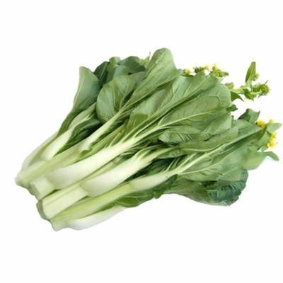 四季白菜苔种子早熟菜苔四季播种