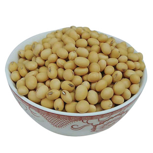 山东笨黄豆老品种2025新黄豆5斤椭圆形豆子农家打豆浆椭圆大豆