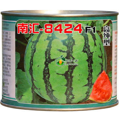 南汇8424西瓜种子薄皮超甜麒麟瓜