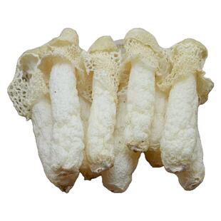 贵州织金竹荪干货红托带帽竹笙肉厚食用菌煲汤土特产严选11cm左右