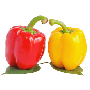 山东五彩甜椒新鲜5斤现摘水果甜椒七彩辣椒五彩灯笼红小米椒圆椒