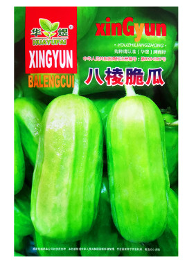 八棱脆瓜种子早熟皮薄味香脆