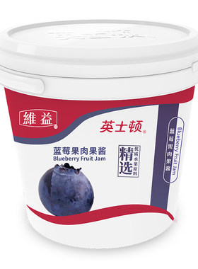 英士顿蓝莓果馅果粒酱蓝莓酱