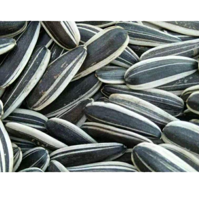 内蒙古生瓜子葵花籽新零食原味