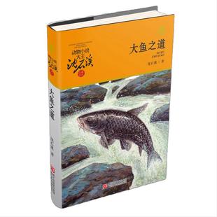 当当网 大鱼之道升级版动物小说大王沈石溪品藏书系狼王梦斑羚飞渡青少年课外书8-10-12-15岁四五六年级小学生课外阅读书籍经典书