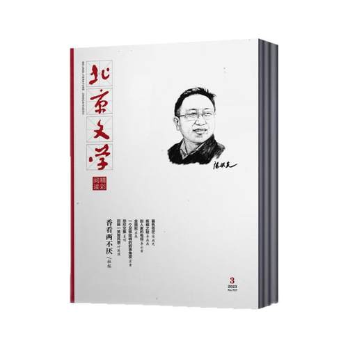 北京文学精彩阅读杂志2026年1/2月+2025年全年+2024年全年+2023年/2022年/年可选 文学选刊阅读期刊杂志