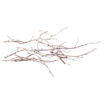 南美缸造景沉木枝条黄梨枝细枝条