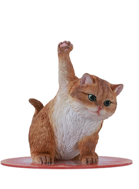 【JXK官方店】SuperCat