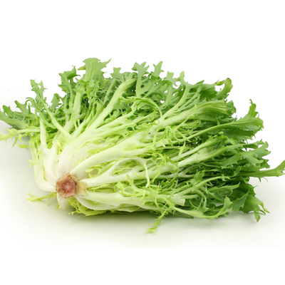 新鲜苦菊生菜沙拉食材蔬菜