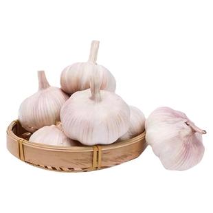 河南5斤大蒜头大蒜多瓣农家新干蒜头紫白皮大蒜头200g起整箱包邮