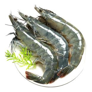 【当日鲜捕】青岛大虾南美白对虾盐冻大海虾净重无冰鲜活速冻礼盒