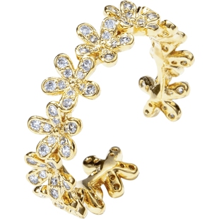 DODOGOGO金色戒指女小众设计冷淡风食指戒轻奢高级感开口花朵指环