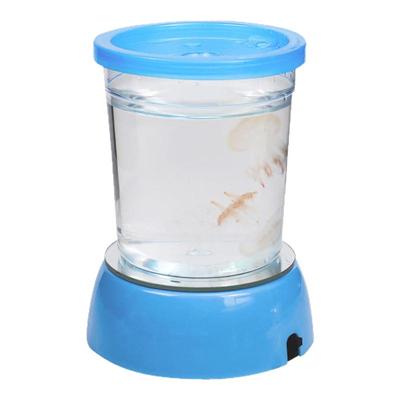 包活赤月水母活物六一儿童节宠物