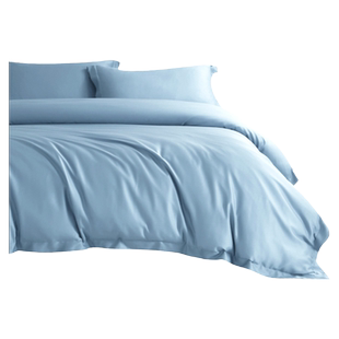 床上四件套100支兰精天丝2025新款夏季纯色床单被套床品三套件4