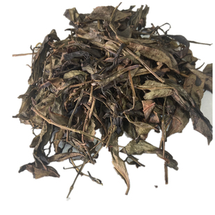 乌岽老枞蜜兰香茶头高山鸭屎香单丛茶叶茶枝潮汕凤凰单枞500g包邮