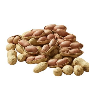 农家柴火铁锅现炒脆花生客家特产熟花生炒货炒花生带壳原味小包装