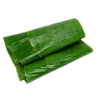 新鲜芭蕉叶物美价廉现采摘发货