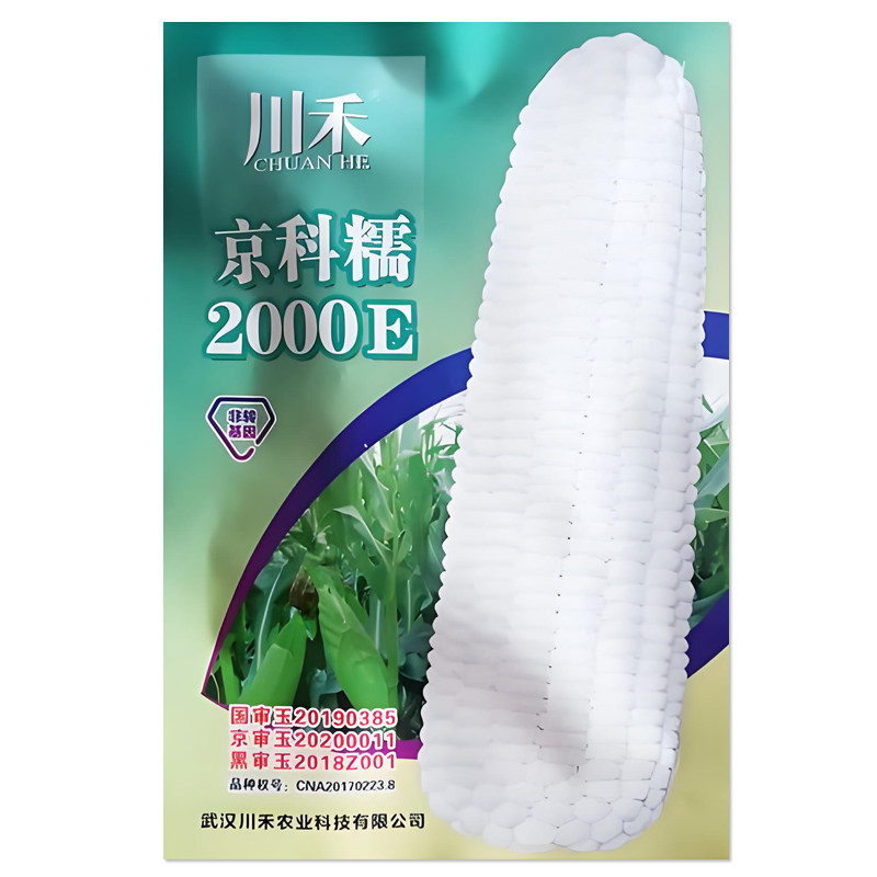 京科糯2000E玉米种子国审