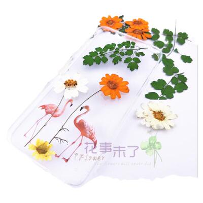 干花天然植物儿童手工节日礼品