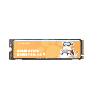 七彩虹橘猫1TB 2TB固态SSD台式机电脑游戏笔记本M.2硬盘pcie 4.0