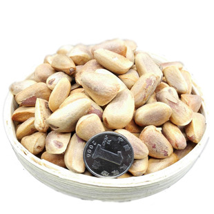 生松子新货东北特产特大新鲜红松子原味不开口散装500g松树屯松籽