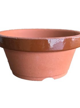 皋月桅子花朴素常滑烧中小品陶盆