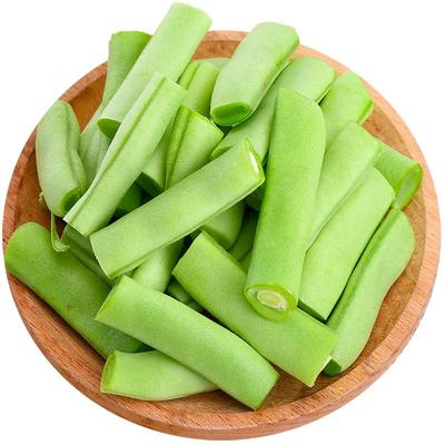 云南高原四季豆露天农家种植