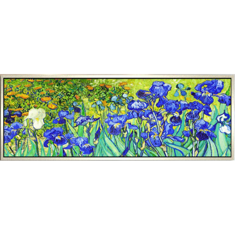 新款印花正品DMC纯棉绣线十字绣 客厅卧室欧式世界名画梵高鸢尾花