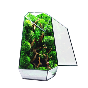 玻璃花房苔藓微景观北欧生态瓶