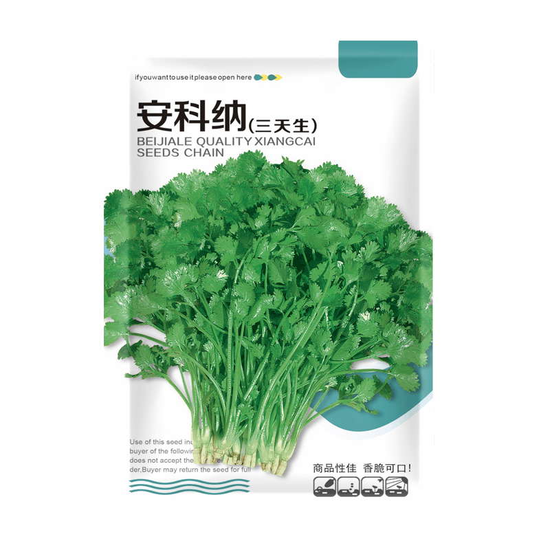 耐热四季小叶香菜种子农家芫荽种籽苗阳台盆栽大叶蔬菜种孑大全
