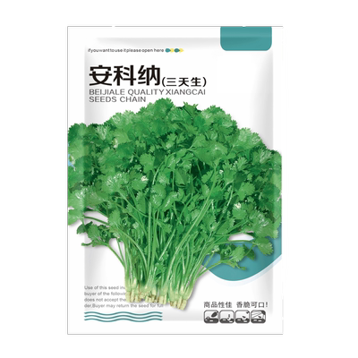 老品种耐热四季农家香菜种子