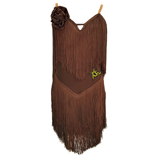 高档夏季女童拉丁舞蹈服少儿练习表演分体演出服拉丁流苏练功服装