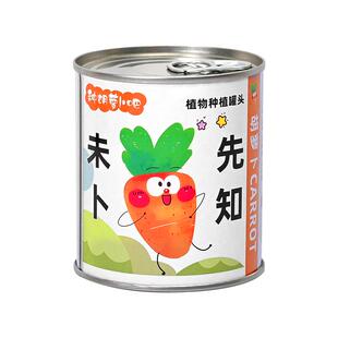 小学生活动罐装种植盆栽儿童桌面罐头植物盲盒小学义卖小商品幼儿园幸运草创意礼品向日葵毕业礼物送全班批发