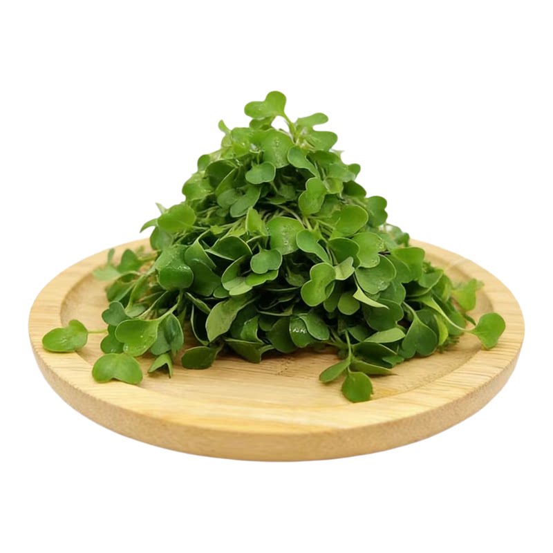 新鲜蔬菜芝麻苗 千宝苗可食用芽苗菜15g冷盘西餐摆盘装饰点缀