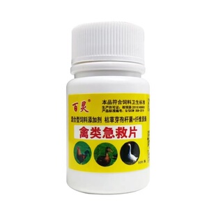 鸡鸭鹅鸽子呆立精神不振药老牌子禽类鸡药大全呼吸养殖饲料添加剂