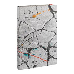 预售 深濑昌久摄影集-Hibi 深濑昌久镜头中的裂缝 Masahisa Fukase 深濑昌久摄影作品集 日本著名摄影师 深濑昌久 华源时空