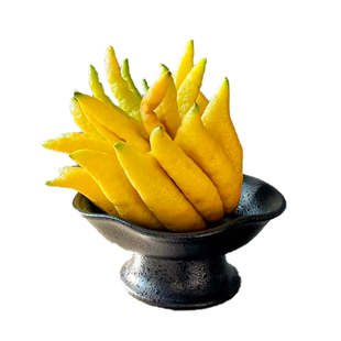 佛手柑鲜果新鲜佛手瓜切带枝室内摆件清供观赏闻香可食用花卉盆栽